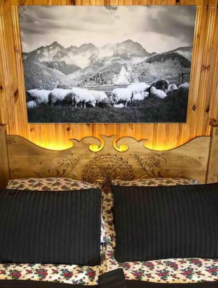 Karolina Centrum Penzión pre hostí Zakopane